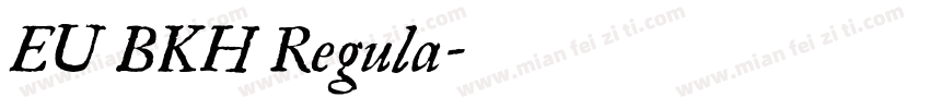 EU BKH Regula字体转换